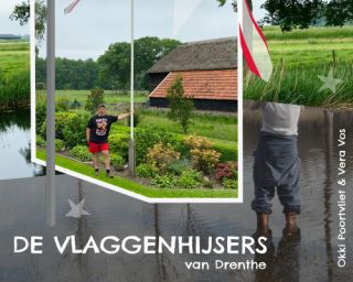 Poplab Drenthe - Vlaggenhijsers